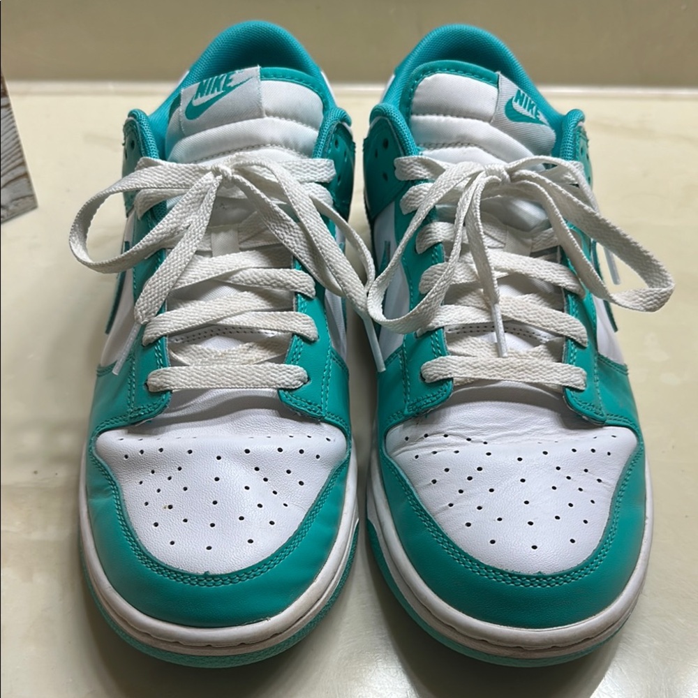 Nike Teal and White Dunks